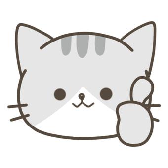 Coco全网视频解析下载