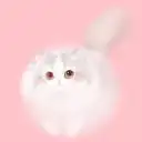 彭幼霞