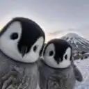 hhm