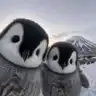 hhm
