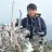曾智烽