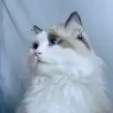 John