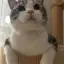 别来无恙