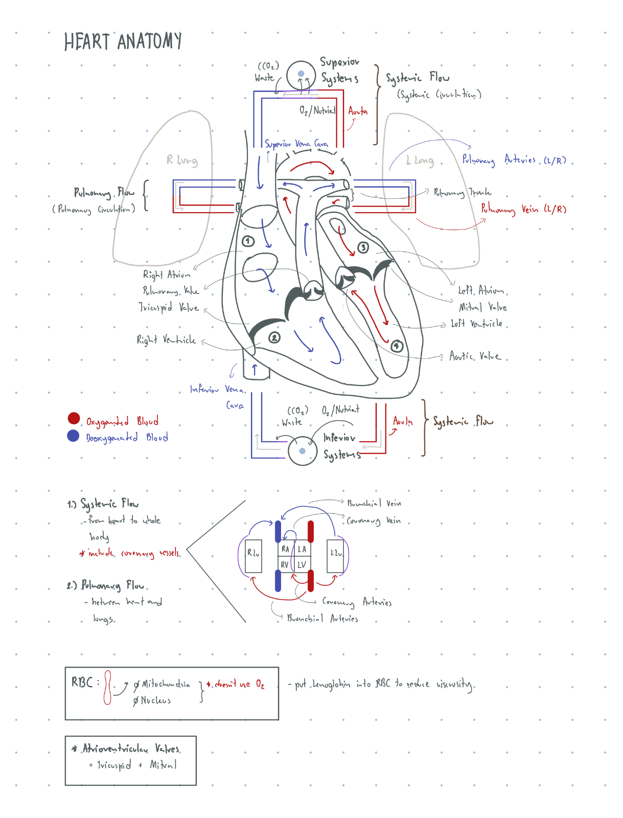 Notability手写笔记