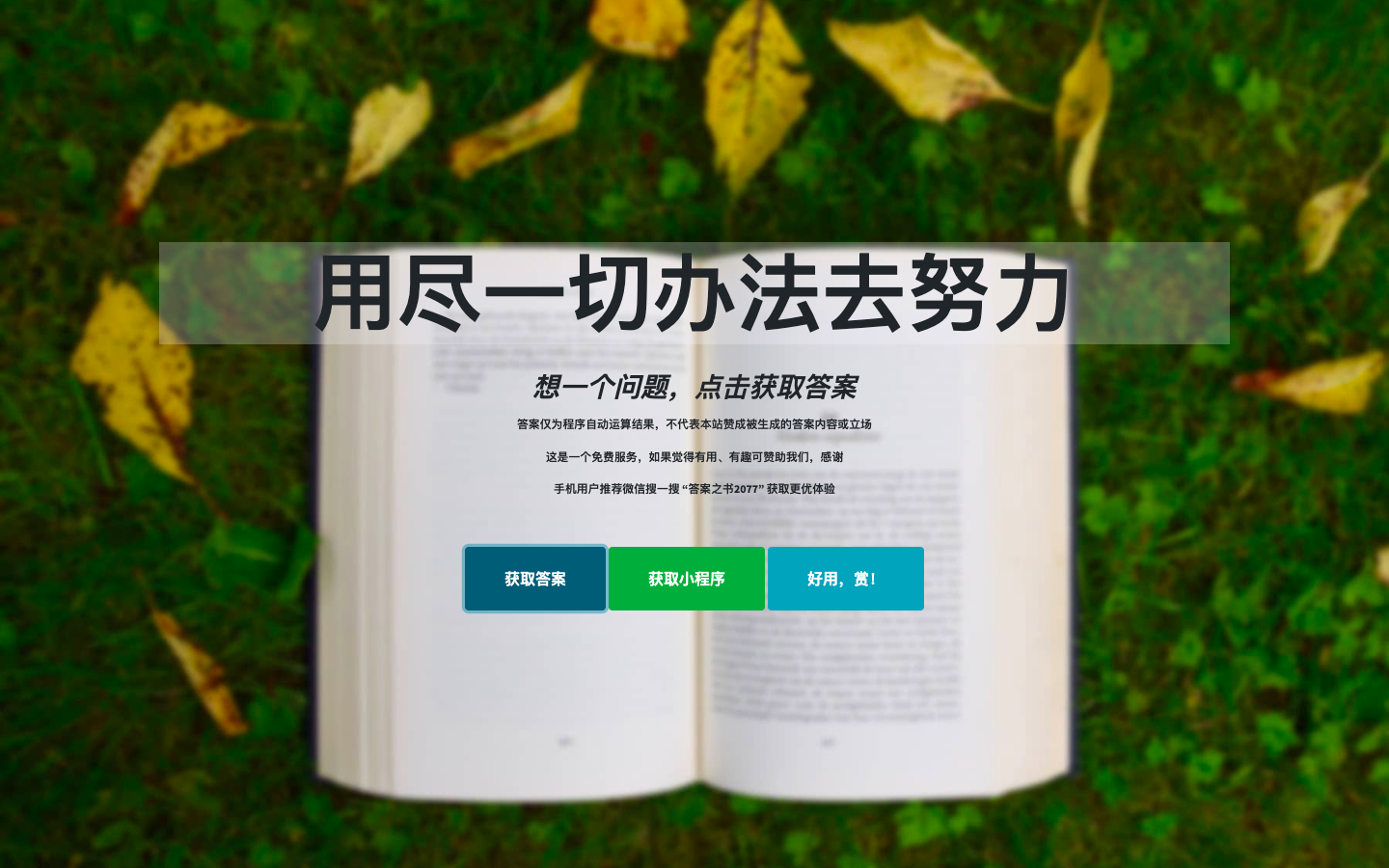 答案之书The Book Of Answers