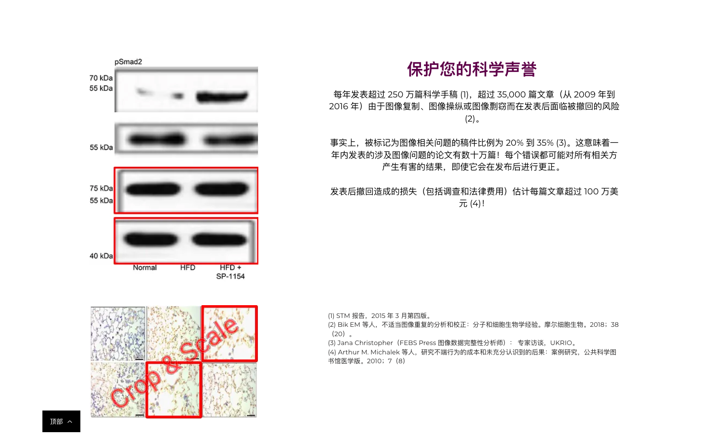 Proofig AI图片抄袭检测器