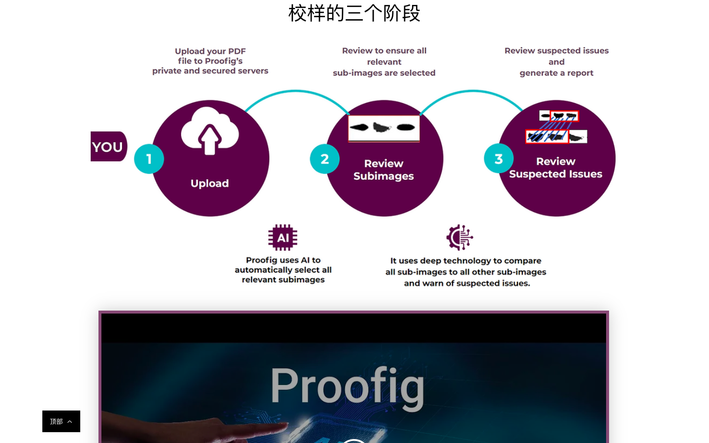 Proofig AI图片抄袭检测器