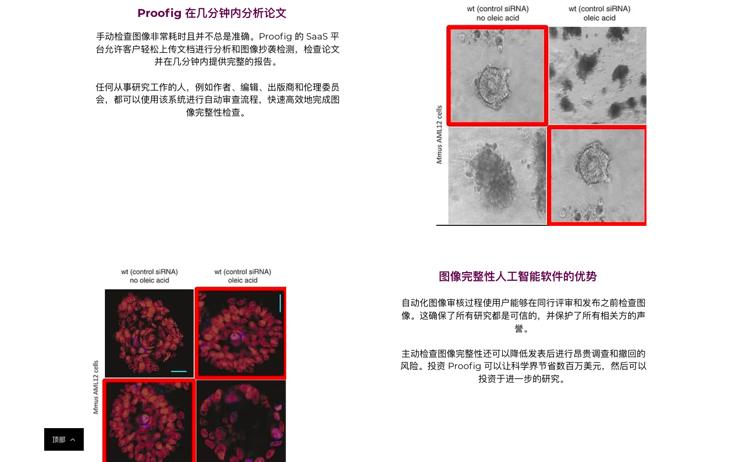 Proofig AI图片抄袭检测器