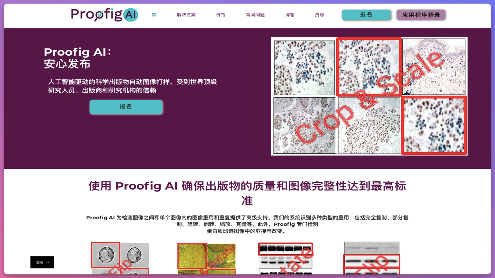 Proofig AI图片抄袭检测器