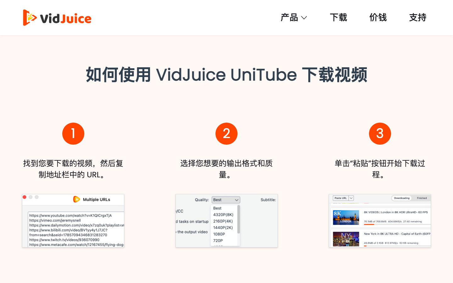 VidJuice 音视频下载