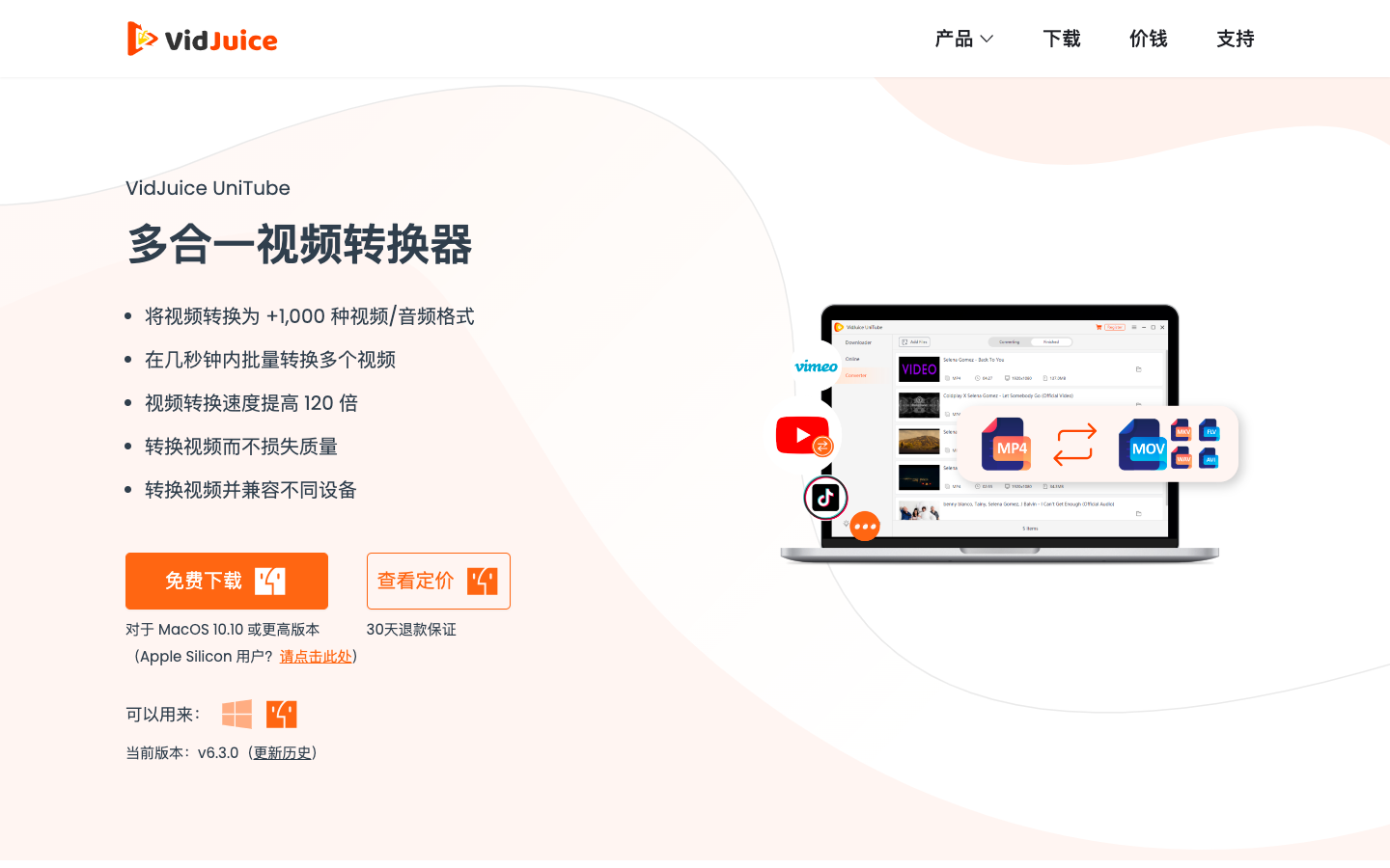 VidJuice 音视频下载