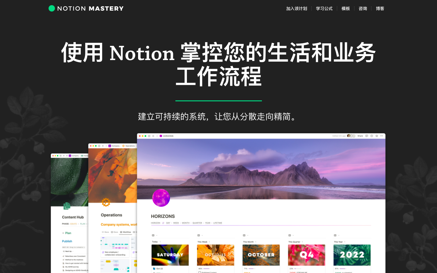 NotionMastery