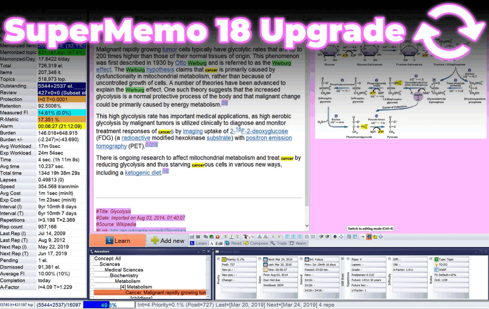 SuperMemo 记忆强化辅助