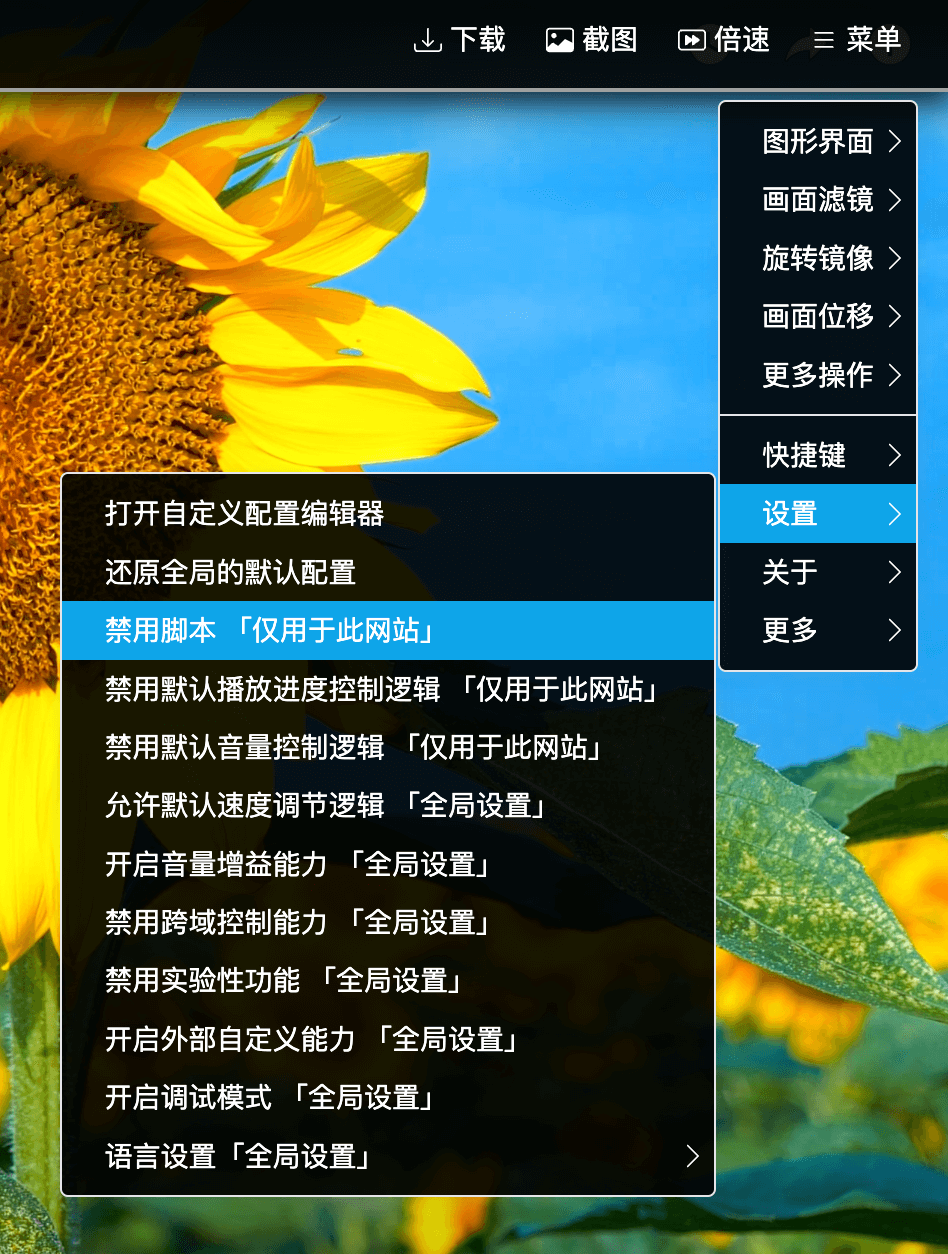 H5player视频增强脚本