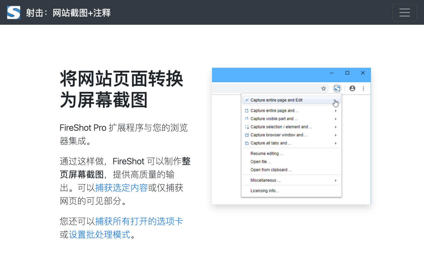 FireShot网页截图