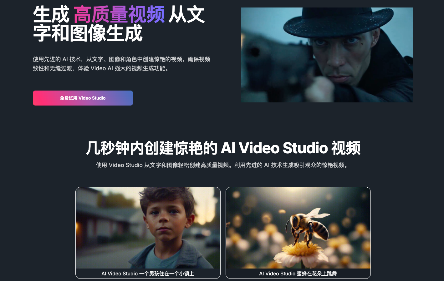 Video Studio AI视频生成