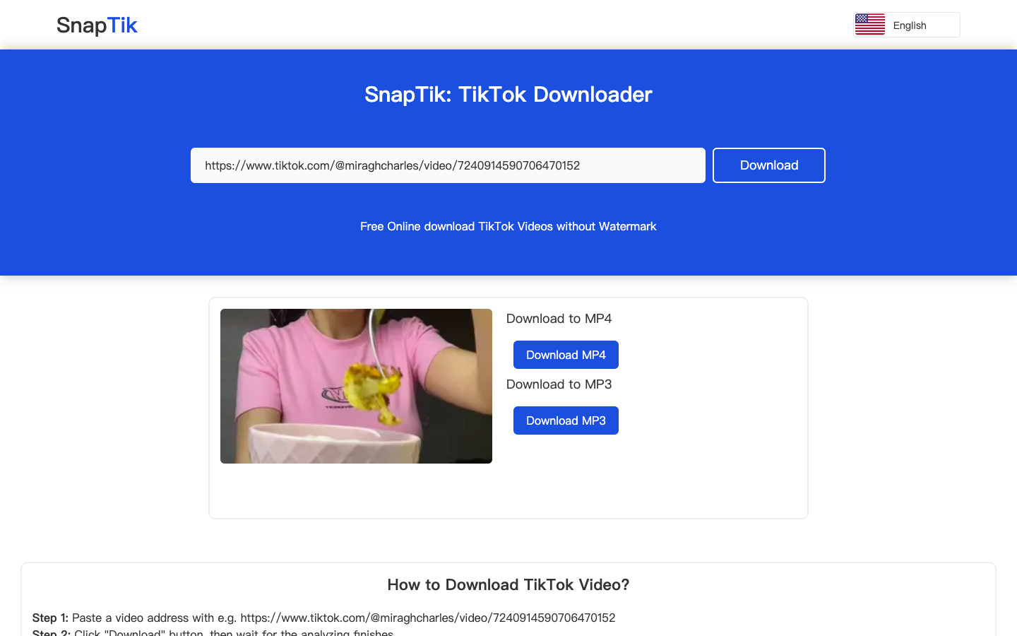 SnapTik - TikTok视频下载