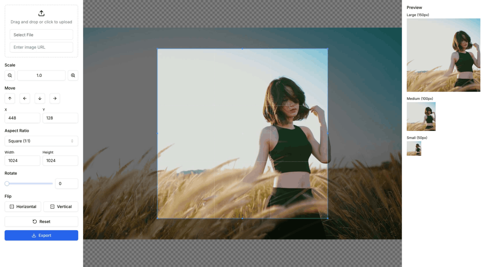Crop Image 图片剪裁