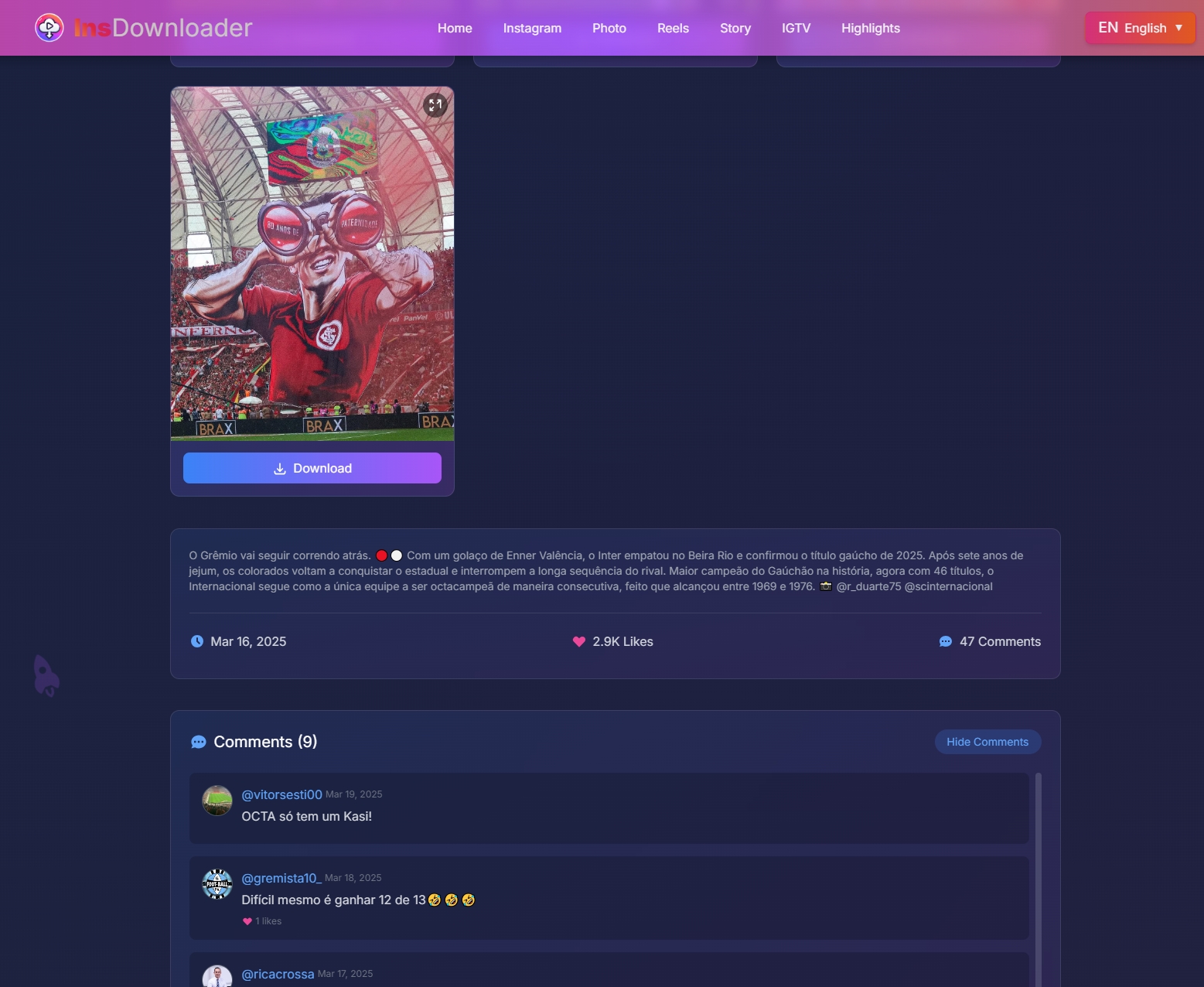 InsDownloader—Instagram内容下载