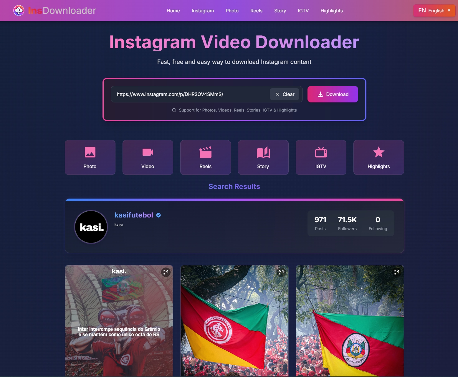 InsDownloader—Instagram内容下载