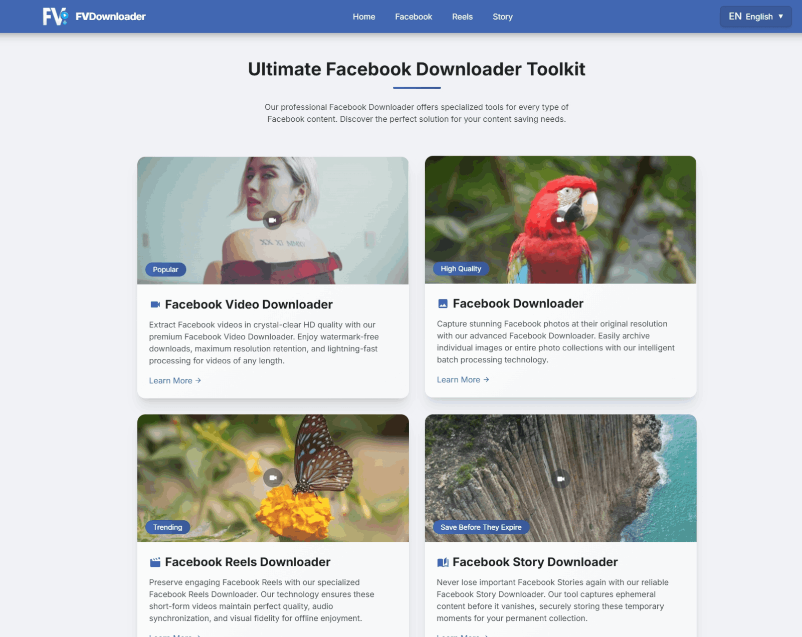 FVDownloader - Facebook视频下载